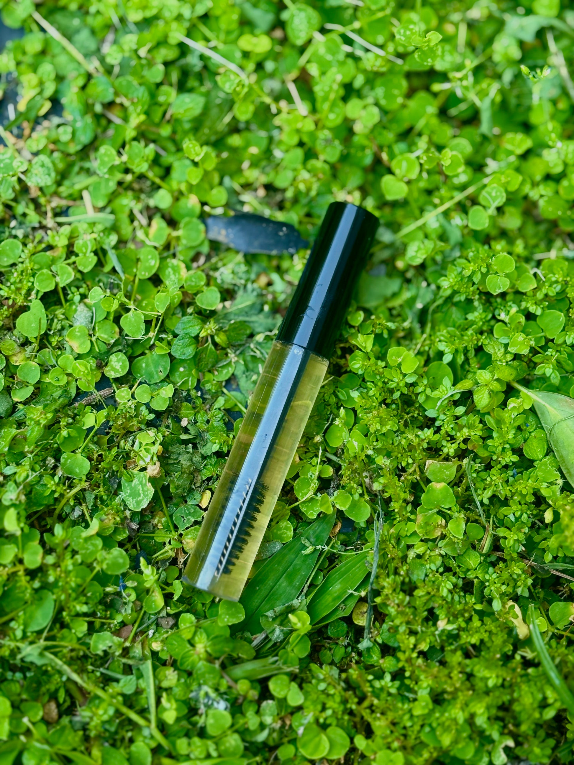Pavy Brow and Lash serum